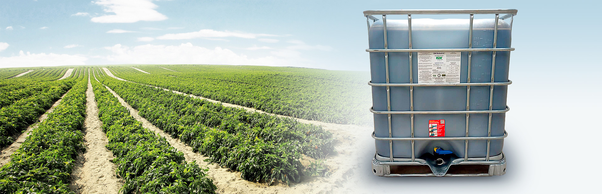 bnr-productos-2022 bnr-productos-2022